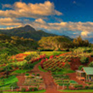 Meet your Posher, Gowrie